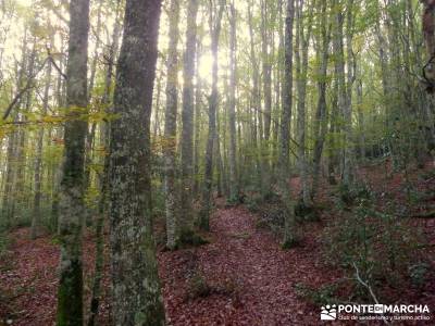 Parque Natural Saja-Besaya y Valderredible (Monte Hijedo) caminos y senderos viajes y rutas senderos